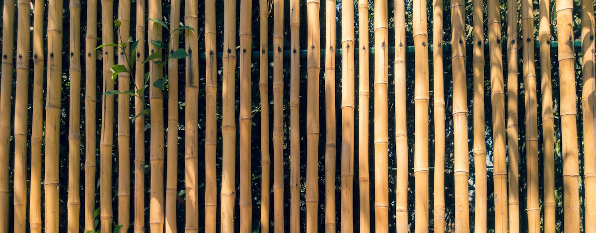 Wat maakt Bamboosa ondergoed zo bijzonder?