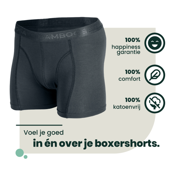 2-pack Lewis Bamboe Boxershorts - Antraciet